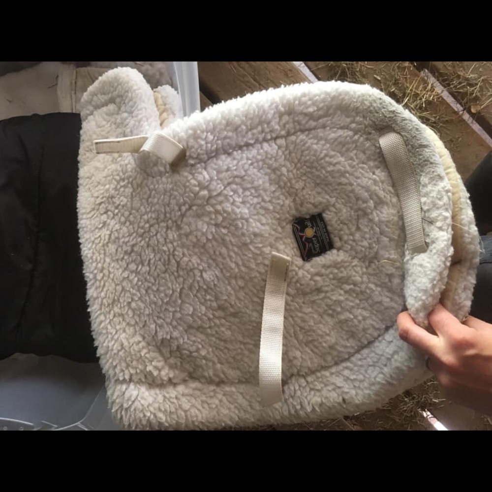 Toklat hunter show pad